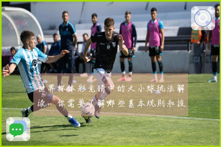 世界杯体彩竞猜中的大小球玩法解读，你需要了解哪些基本规则和技巧？