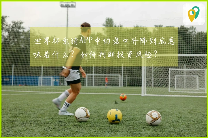 世界杯竞猜APP中的盘口升降到底意味着什么？如何判断投资风险？