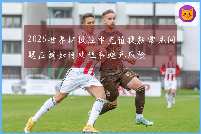 2026世界杯投注中充值提款常见问题应该如何处理和避免风险