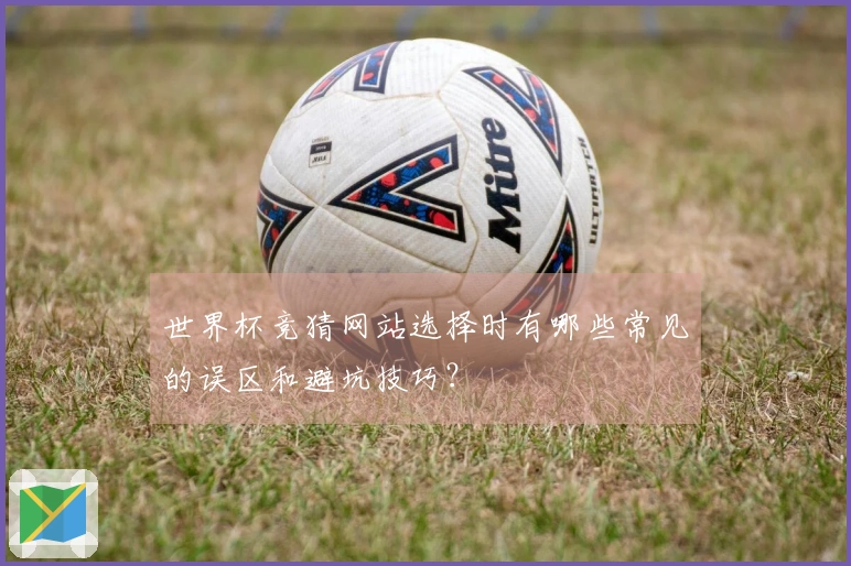 世界杯竞猜网站选择时有哪些常见的误区和避坑技巧？