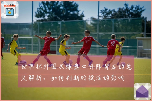 世界杯外围买球盘口升降背后的意义解析，如何判断对投注的影响