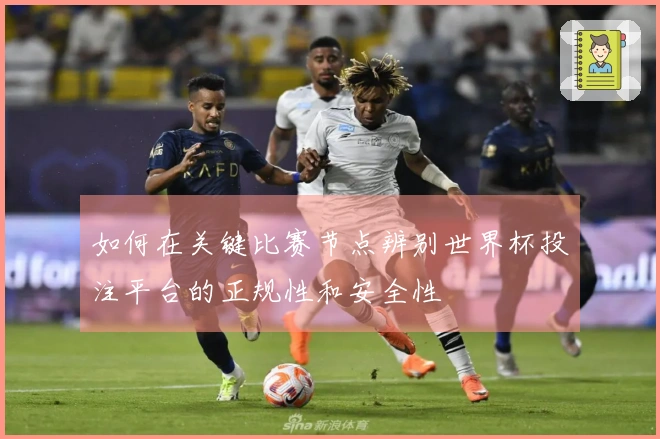 如何在关键比赛节点辨别世界杯投注平台的正规性和安全性