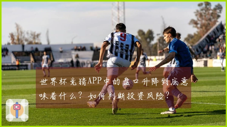 世界杯竞猜APP中的盘口升降到底意味着什么？如何判断投资风险？